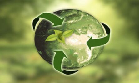 Dia-Mundial-del-Reciclaje