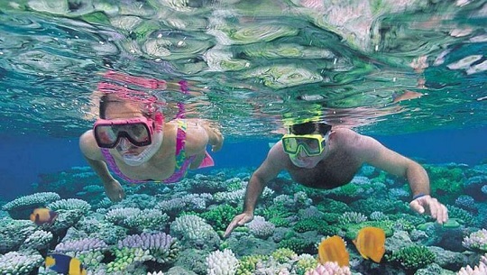 Jardines del Rey, escenario de Cuba para soñar