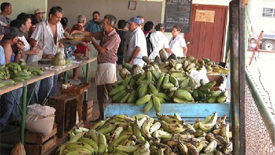 Mercado-reglas-e-insatisfacciones