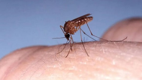 🎧 El Triángulo de la confianza: Situación epidemiológica en Cienfuegos