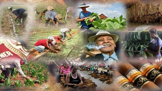 Tabaco-es-decir-Cuba
