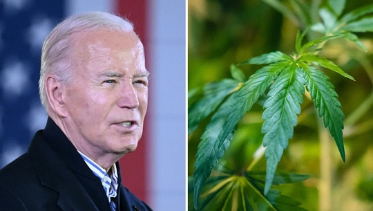 Discusión sobre la marihuana en Estados Unidos genera dudas sobre intenciones electoralistas