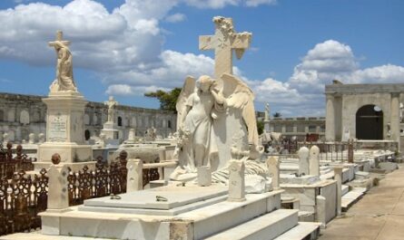 Cienfuegos 205