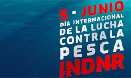 Dia-Internacional-de-la-Lucha-Contra-la-Pesca-Ilegal-no-declarada-y-no-reglamentada