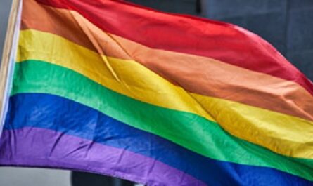 Dia-Internacional-del-Orgullo-LGBT-o-Dia-del-Orgullo-Gay