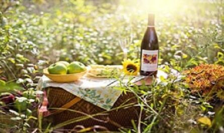 Dia-Internacional-del-Picnic