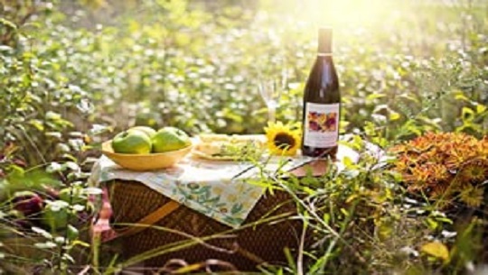 Día Internacional del Picnic