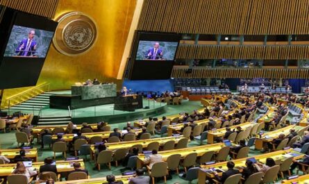 Expertos-de-ONU-piden-extender-reconocimiento-a-Estado-de-Palestina