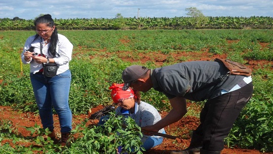 Institucion-de-Cienfuegos-lidera-estudios-en-ecosistemas-terrestre