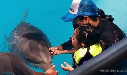 Promueven-turismo-de-salud-para-ninos-autistas-en-cayos-de-Cuba