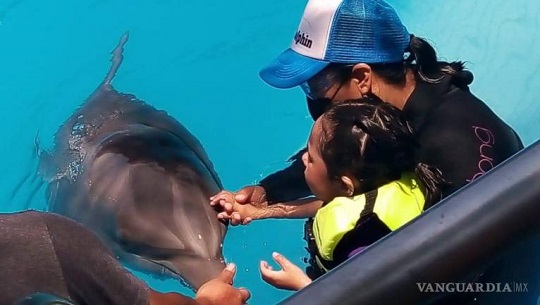Promueven-turismo-de-salud-para-ninos-autistas-en-cayos-de-Cuba