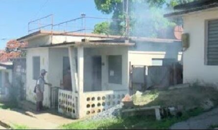 Realizan-acciones-para-controlar-alza-de-dengue-y-oropouche-en-territorio-de-Cienfuegos