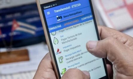Reconocen-desarrollo-de-plataformas-digitales-nacionales