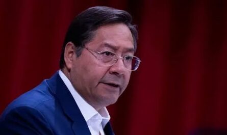 Siempre-existen-intereses-externos-detras-de-los-golpes-de-Estado-dijo-Luis-Arce-presidente-de-Bolivia