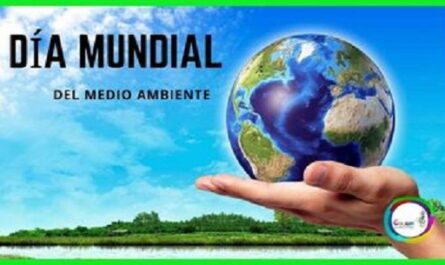 Un-dia-para-hacer-conciencia