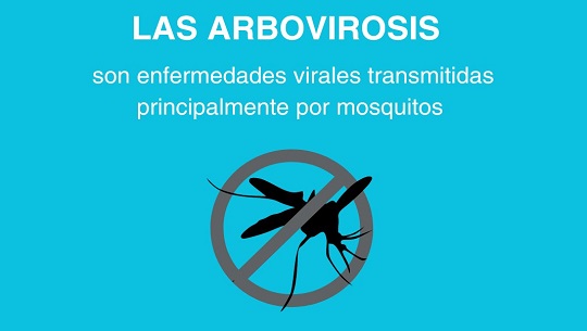 🎧 Triángulo de la confianza: Las arbovirosis