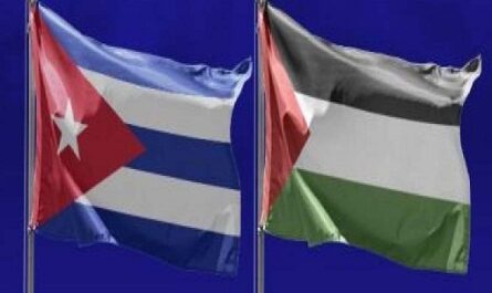 Reitera Cuba condena al genocidio contra el pueblo palestino