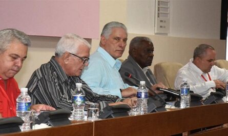 Presidente de Cuba participa en debates de comisiones parlamentarias