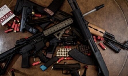 Dia-Internacional-de-la-Destruccion-de-Armas-de-Fuego