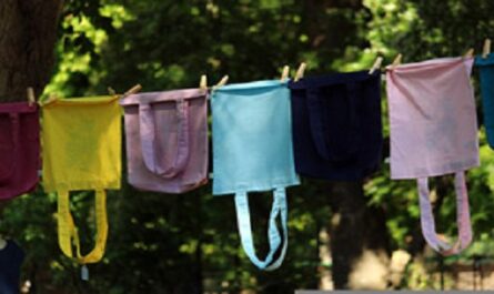 Dia-Internacional-Libre-de-Bolsas-de-Plastico