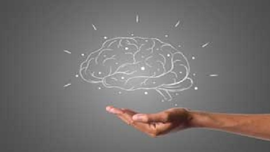 📹 Día Mundial del Cerebro