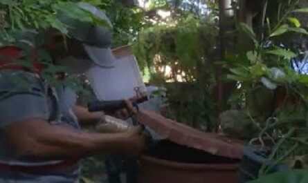 Mantienen-vigilancia-epidemiologica-en-municipio-de-Cumanayagua