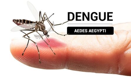 Situacion-epidemiologica-en-Cienfuegos