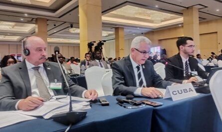 Cuba demandó un comercio internacional diferenciado para el Sur