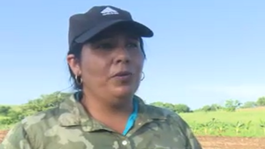 📹 Asume mujer cienfueguera retos de ganadería en Granja Genética