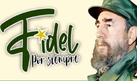 Fidel-y-los-combatientes