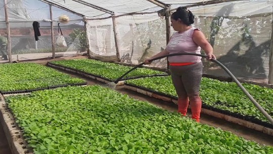 Programa-con-participacion-Somos-asi-de-Radio-Cumanayagua