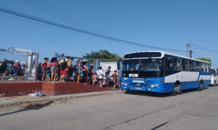 Transporte-y-verano-2024