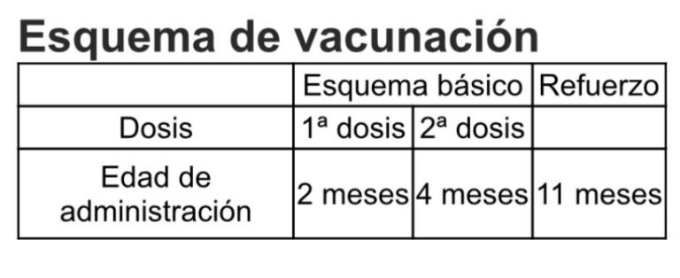 Esquema de vacunación de la Pneumosil.