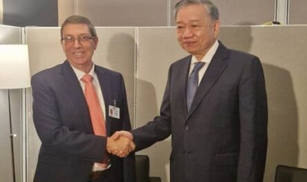 Sostuvo canciller cubano encuentro con presidente de Vietnam