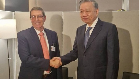 Sostuvo canciller cubano encuentro con presidente de Vietnam