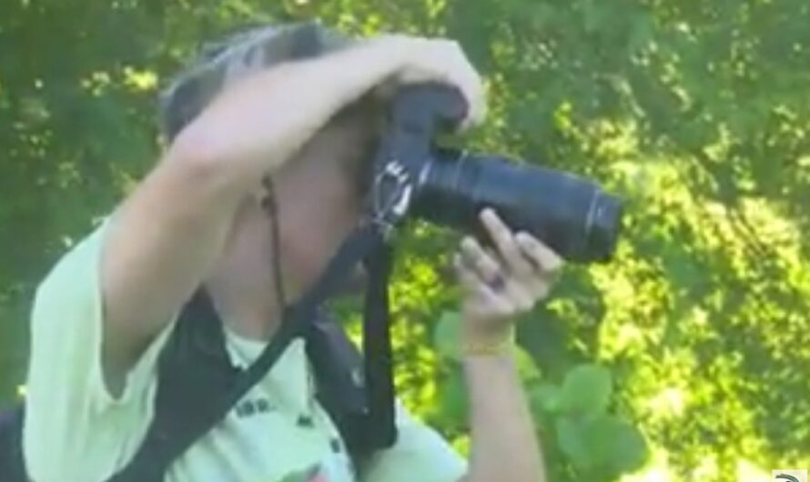 📹 Naturaleza 24 en Cienfuegos