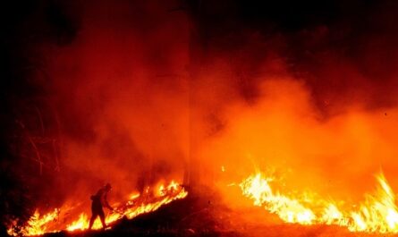 Incendio-forestal-sin-control-obliga-a-residentes-a-huir-de-sus-casas-en-Los-Angeles