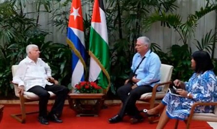 Presidente de Cuba recibió a embajador palestino