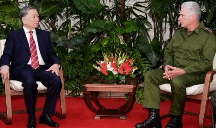 Cuba exalta heroica y larga lucha de Vietnam en su Día Nacional