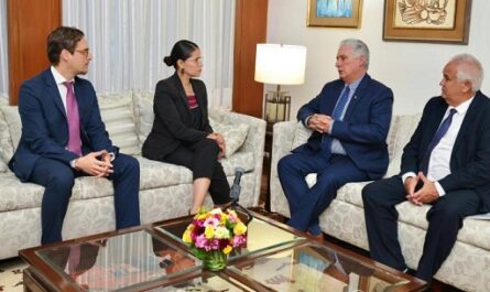 Presidente de Cuba se reunió con secretaria general de partido Morena