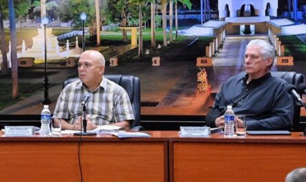 Evalúa Díaz-Canel retos económicos de provincias orientales de Cuba
