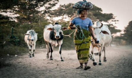 Dia-Internacional-de-las-Mujeres-Rurales