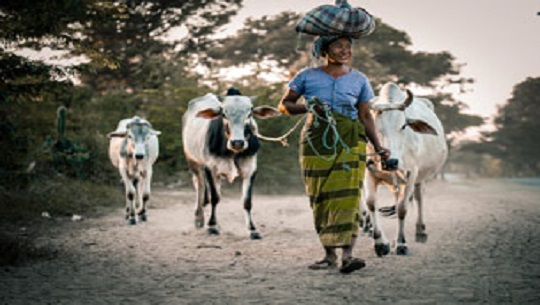 📹 Día Internacional de las Mujeres Rurales