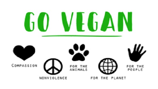 📹 Día Mundial del Veganismo