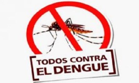 En-marcha-plan-mundial-contra-el-dengue