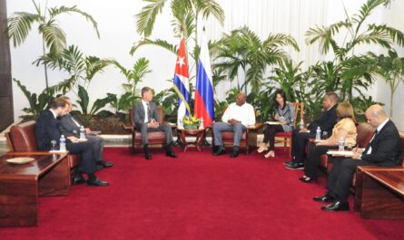 Recibe Valdés Mesa a director de Servicio Fede de Alguaciles ruso