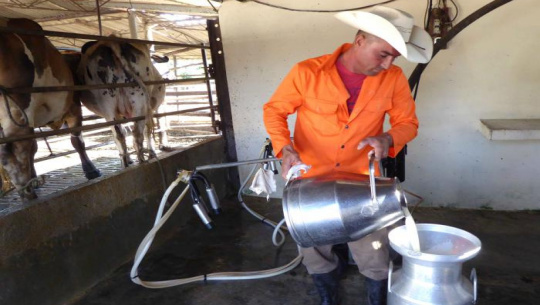 Afecta cadena de impagos a productores de Cienfuegos