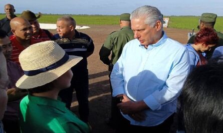 Chequea Díaz- Canel proyecto arrocero en Pinar del Río