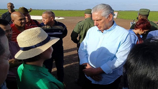 Chequea Díaz- Canel proyecto arrocero en Pinar del Río