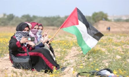 Dia-Internacional-de-la-Solidaridad-con-el-Pueblo-Palestino